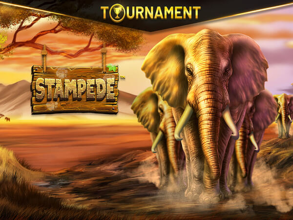 Cripto jogo